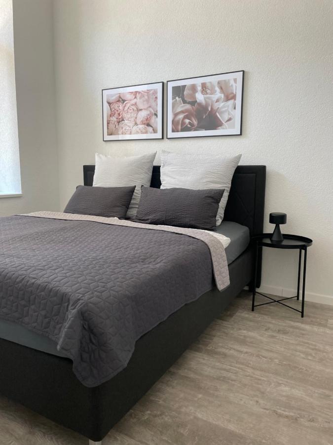 Apartment Basner